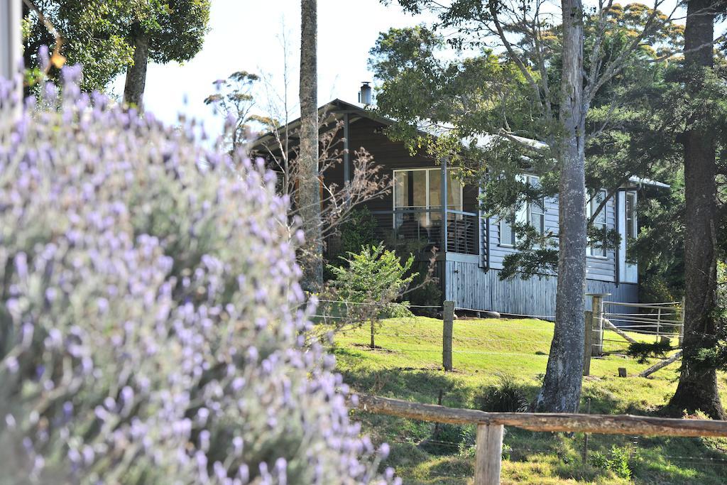 Spring Creek Mountain Cafe & Cottages Killarney Exterior photo